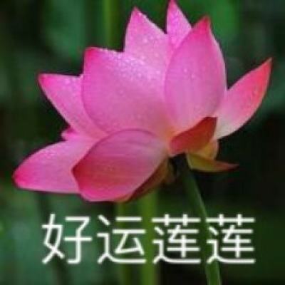 湖北咸宁：府院联动预防化解行政争议